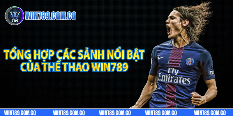 Tổng hợp các sảnh nổi bật của thể thao Win789