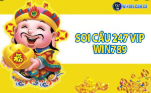 Soi cầu 247 Vip Win789